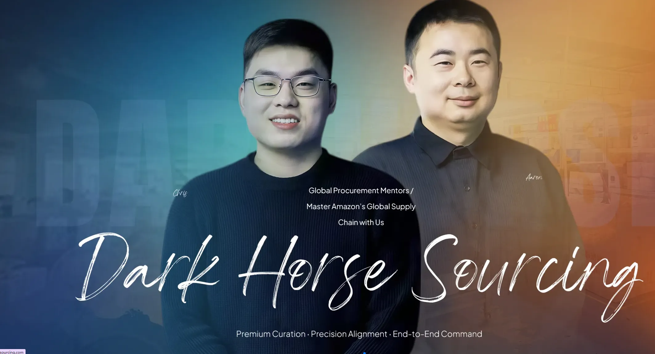 Prezentare generală privind achizițiile: tipuri, procese și strategii explicate de Darkhorse Sourcing